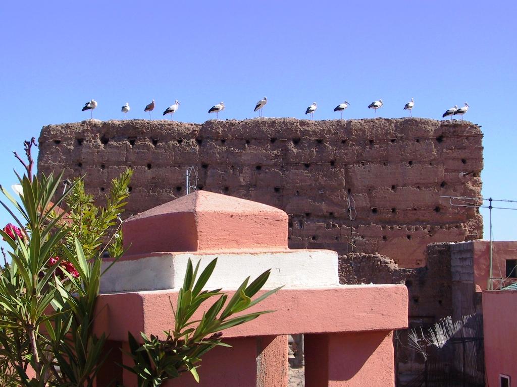 Riad El Farah Kasbah مراكش المظهر الخارجي الصورة